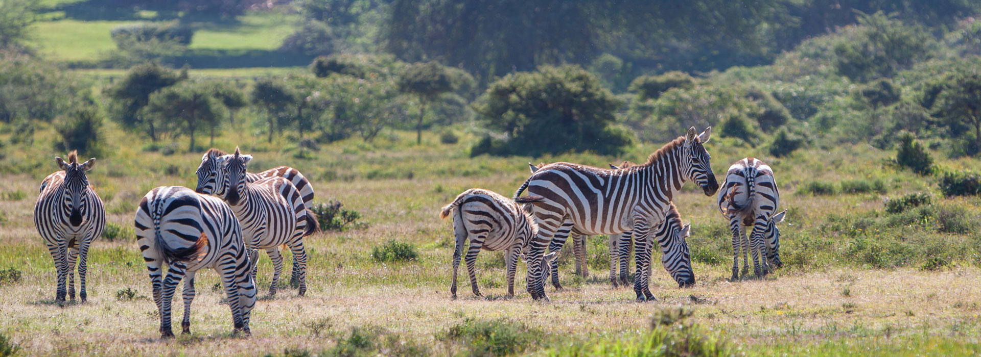 Explore Best of Kenya