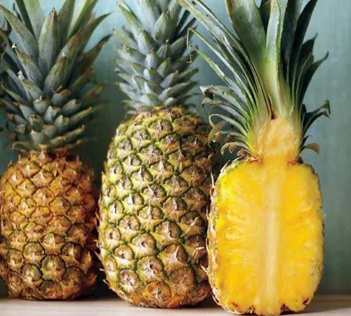 Queen Pineapple of Tripura